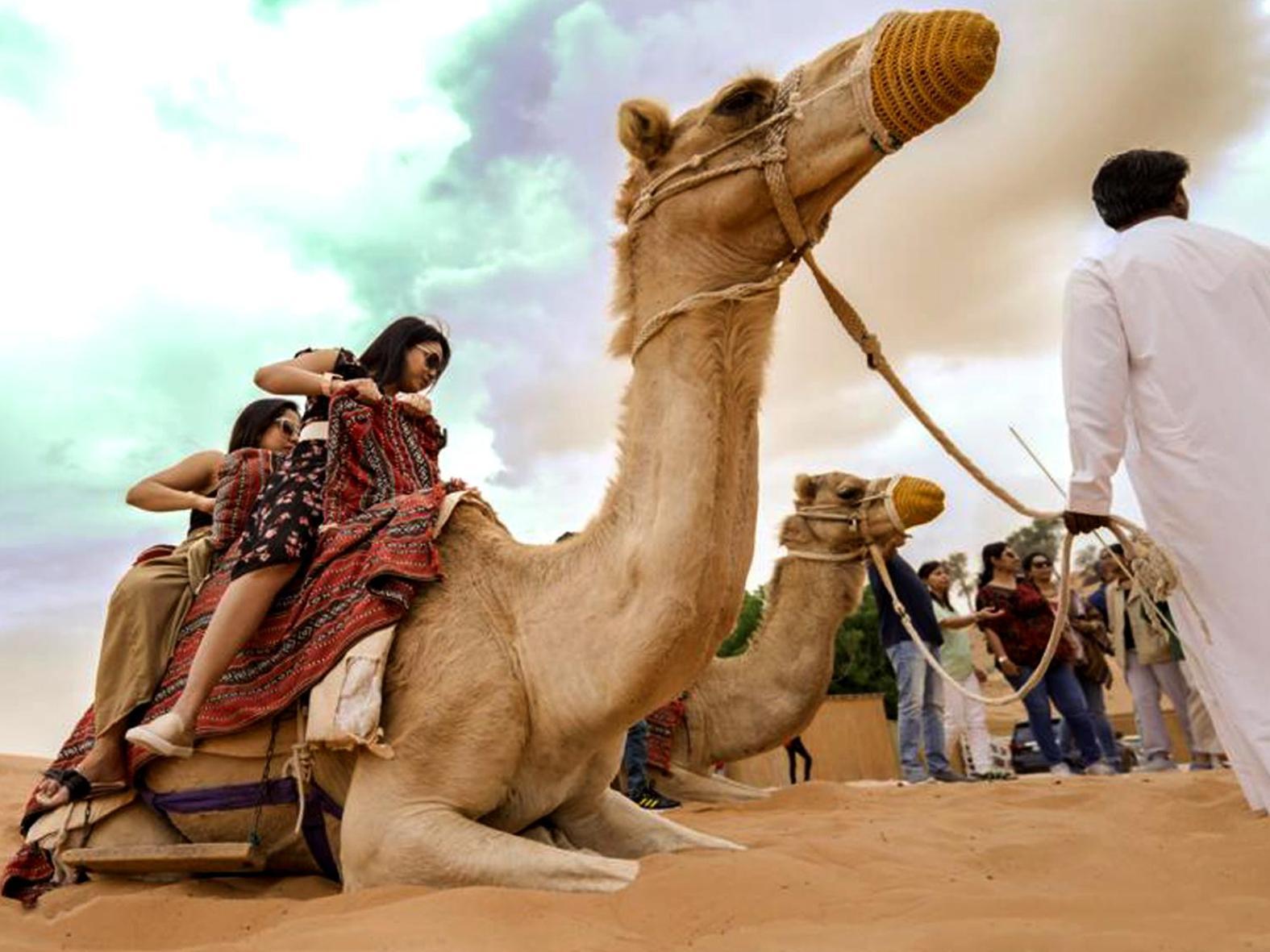 Bedouin Oasis Desert Camp- Ras Al Khaimah Exteriér fotografie