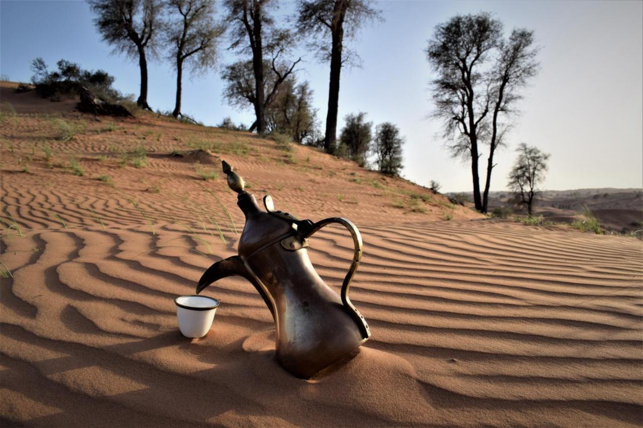 Bedouin Oasis Desert Camp- Ras Al Khaimah Exteriér fotografie